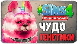 ЧУДО ГЕНЕТИКИ, КАКОЙ ПЕСИК САМЫЙ МИЛЫЙ? - The Sims 4 