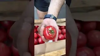 ЭТоргуюсь за помидоры на рынке. Нашел самые вкусные и НАТУРАЛЬНЫЕ в Москве.