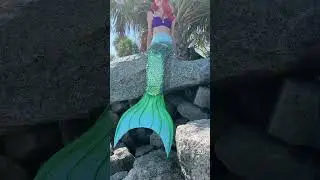 Ariel Visits Land