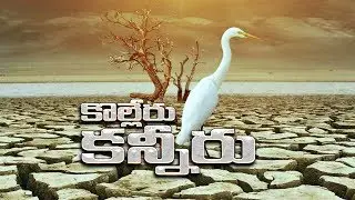 Be Alert! Dried up Kolleru Lake!!! | కొల్లేరు సరస్సులో తగ్గిపోయిన నీరు..
