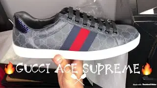 Gucci Ace Supreme Review + On Feet