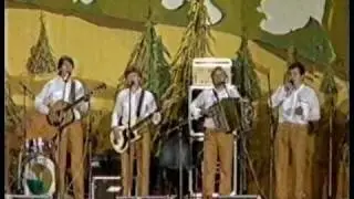 Ansambel (Stari) Objem - V poletnem veceru (live 1984)