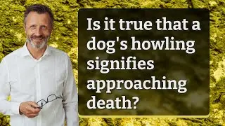 Is it true that a dog's howling signifies approaching death?
