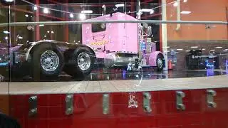 Prowler in Kenly North Carolina