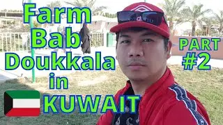 EXPLORING THE BAB DOUKKALA FARM IN KUWAIT!!!(PART #2) #FARM #TEAMH.A.J. #ANIMALS #OFW #KUWAIT