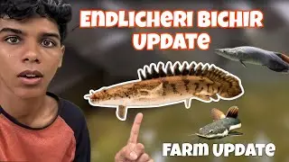 My MONSTER FISHES UPDATE😱( and cleaning some tanks )