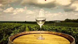 Virginia Wine Month