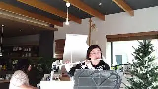 『白鳥』サン=サーンス Le Cygne  Saint-Saëns  右手フルート但木富美 ピアノ鈴木智子　@ダイワハウス仙台住宅展示場