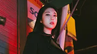이런 사진은 어떻게 찍나요? with. 파보튜브
