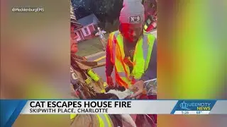 Watch: Cat escapes Charlotte house fire with all 9 lives intact, thanks to first responders