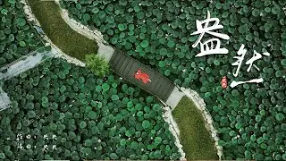 【盎然】讓人耳目一新的古箏原創歌曲by央央｜Original Guzheng Music Made by Yangyang｜Chinese Instrument