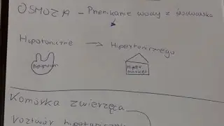 Definicja osmozy , osmoza w kom&oacute;rkach zwierzęcych i roślinnych 