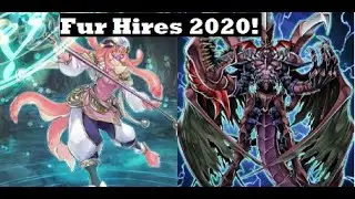 FUR HIRES fresh off the banlist. New changes to Bring it! [Yu-Gi-Oh! Duel Links]