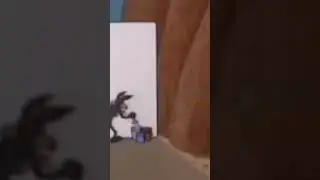 coyote vs road obstacles