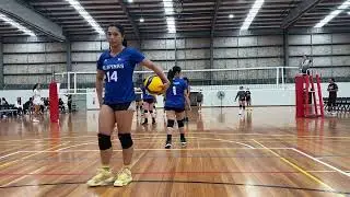 AVT Filo Comp BFVC VS Dalby set 3 only