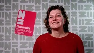 Naturalis Newsroom 23: The lost plants of Rumphius