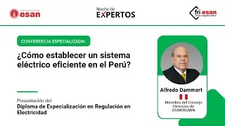 Conferencia Especializada: ¿Cómo establecer un sistema eléctrico eficiente en el Perú