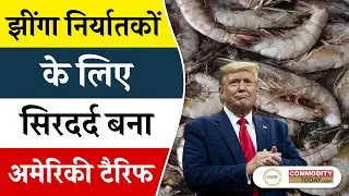 अमेरिकी टैरिफ से झींगा निर्यातक सबसे ज्यादा प्रभावित #ustariffs #seafoodexport #tradewar #exportnews