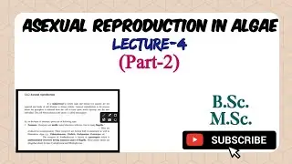 Algae lecture 4|| Asexual reproduction in algae #algae #reproduction #mscbotany 
