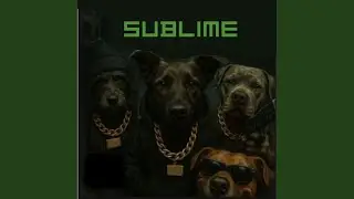 Sublime