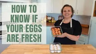 Egg Float Test: How to Tell If Your Eggs Are Still Fresh!