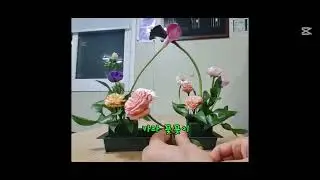 카라 꽃꽂이 #flowers #일상 #행복 #꽃꽂이 #시작 #사랑 #카라 #취미 