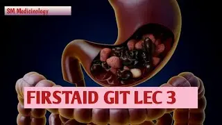 FirstAid GIT Lec 3 , Midgut rotation in fetal life