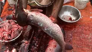 I never seen ll amazing big Rouifish cutting live skills by expert fish cutter in Bangladesh 
