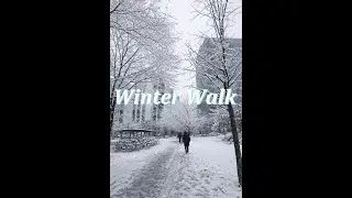 [Focus BGM/1hr] ❄️ 눈 내린 도심의 겨울 출근길 🌫️ Winter City Morning Walk Ambient ❄️