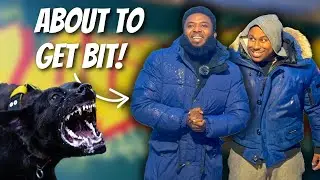 Instagram Influencer Gets Bit By Protection Dogs | EP. 32