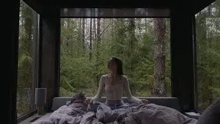 Dzen Forest. Лесной влог. 29.11.24-01.12.24