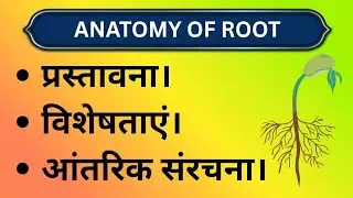 Anatomy of root, bsc 2nd year botany paper 1,unit:-1, lecture:-1