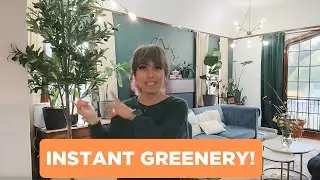 LOVMOR Artificial Olive Tree Review &mdash; 7 ft Styled for Living Room