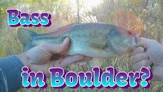 Fall Bass Fishing: Unbelievable catch in Boulder Colorado