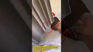 Curved Wall Painting Technique for Smooth and Precise Finish.