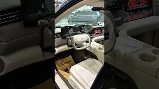 IM LS6 Pure Electric 2026 black