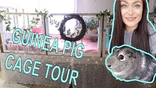 CUSTOM GUINEA PIG CAGE TOUR!