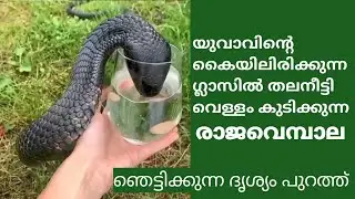 യുവാവിന്റെ കൈയിലിരിക്കുന്ന ഗ്ലാസിൽ തലനീട്ടി വെള്ളം കുടിക്കുന്ന |Ten Star Entertainment