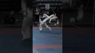 Unbelievable Taekwondo Knockout Kick!