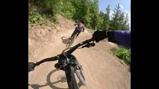 Trail dog - fernie bc laps
