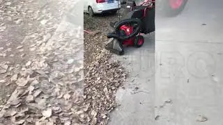 Aspirateur Broyeur thermique tract&eacute; GeoTech LV650 SPL Deluxe - D&eacute;monstration