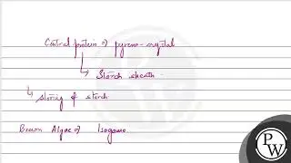 Which of the following statements is incorrect? (A) Pyrenoids contain protein besides starch. (B...