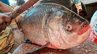 Amazing Big Catla Fish Cutting Live In Fish Market | Fish Cleaning & Chopping Skill