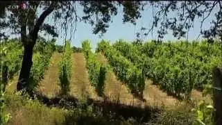 Topwines Boutique wines | Portugal Regions