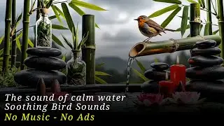 Serenity in a Tropical Japanese Home | Full Body Massage & Relaxing Zen Ambience 🌸
