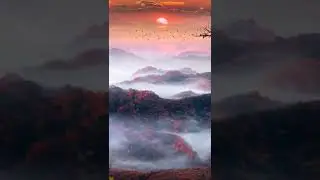 so amazing view 🚗🚕❤💗💞💗#varal #shorts #video ❣️🤫🤫