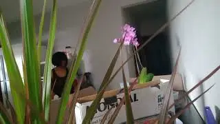 vim novidades...