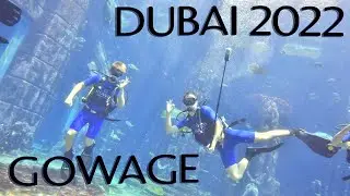 Scuba Diving In Atlantis The Palm Aquarium - 2022
