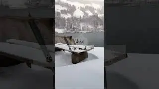 Winter, time to renewal