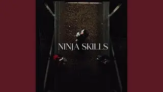 Ninja Skills